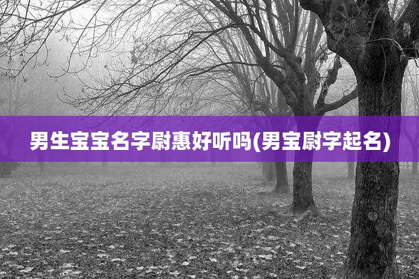 男生宝宝名字尉惠好听吗(男宝尉字起名)