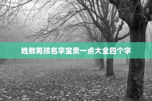姓敖男孩名字宝贵一点大全四个字