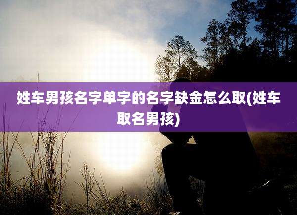 姓车男孩名字单字的名字缺金怎么取(姓车取名男孩)