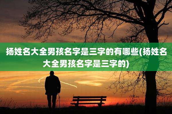 扬姓名大全男孩名字是三字的有哪些(扬姓名大全男孩名字是三字的)