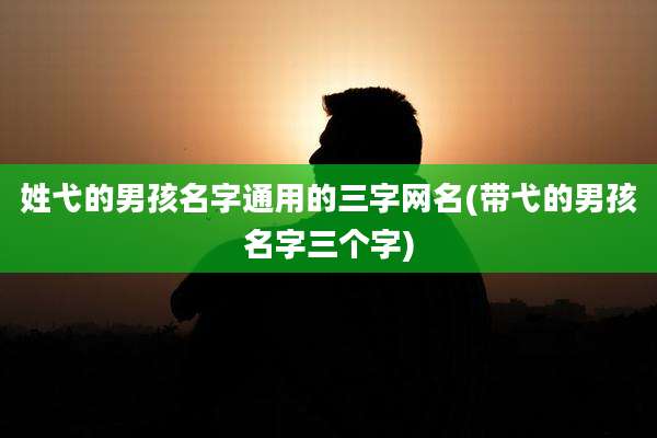 姓弋的男孩名字通用的三字网名(带弋的男孩名字三个字)