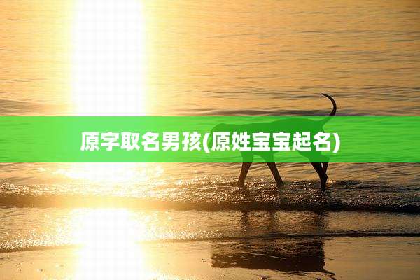 原字取名男孩(原姓宝宝起名)