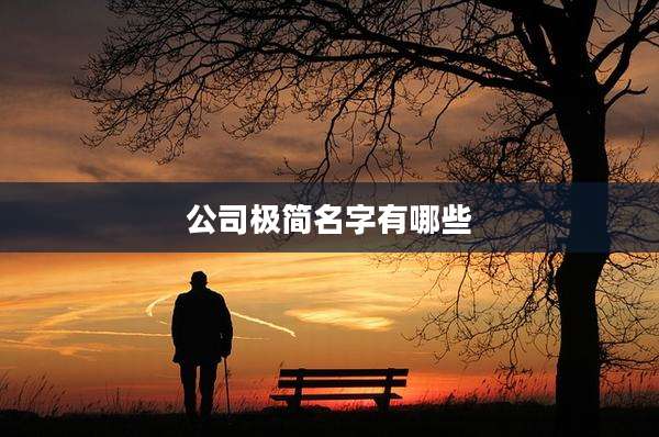 公司极简名字有哪些