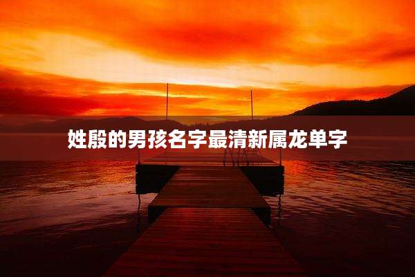 姓殷的男孩名字最清新属龙单字