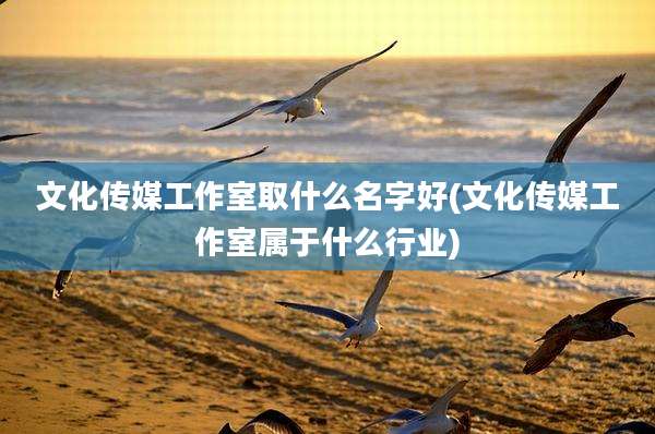 文化传媒工作室取什么名字好(文化传媒工作室属于什么行业)