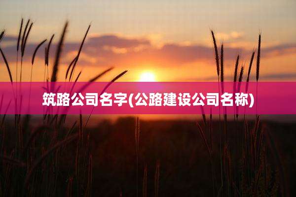 筑路公司名字(公路建设公司名称)
