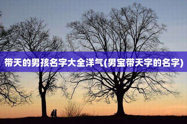 带天的男孩名字大全洋气(男宝带天字的名字)