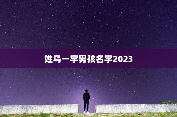 姓乌一字男孩名字2023
