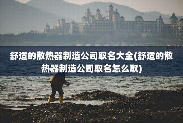 舒适的散热器制造公司取名大全(舒适的散热器制造公司取名怎么取)