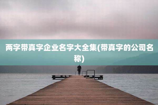 两字带真字企业名字大全集(带真字的公司名称)