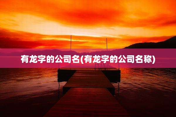 有龙字的公司名(有龙字的公司名称)