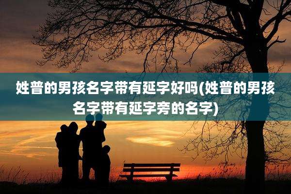 姓普的男孩名字带有延字好吗(姓普的男孩名字带有延字旁的名字)