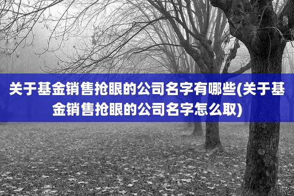 关于基金销售抢眼的公司名字有哪些(关于基金销售抢眼的公司名字怎么取)