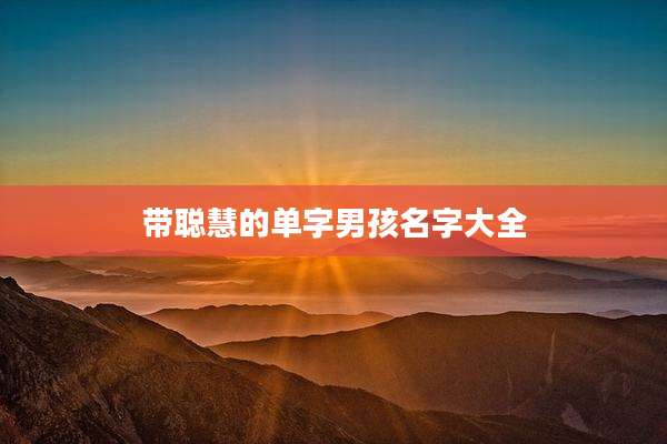 带聪慧的单字男孩名字大全