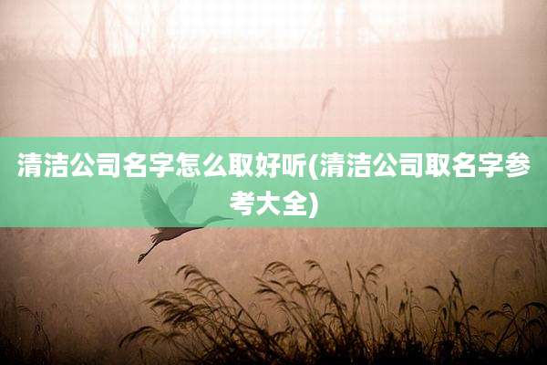 清洁公司名字怎么取好听(清洁公司取名字参考大全)
