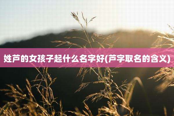 姓芦的女孩子起什么名字好(芦字取名的含义)