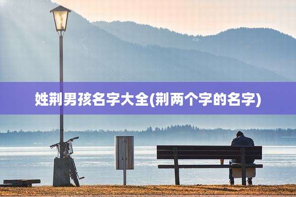 姓荆男孩名字大全(荆两个字的名字)