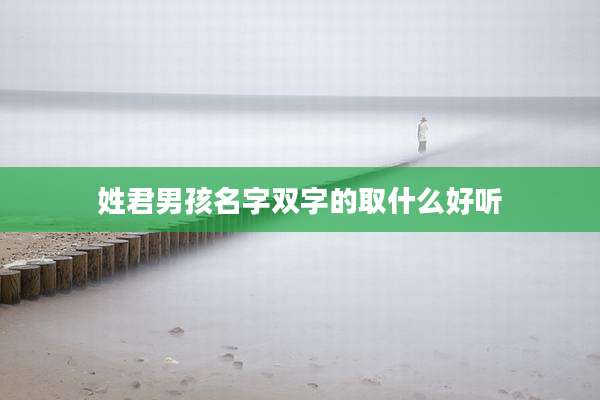 姓君男孩名字双字的取什么好听