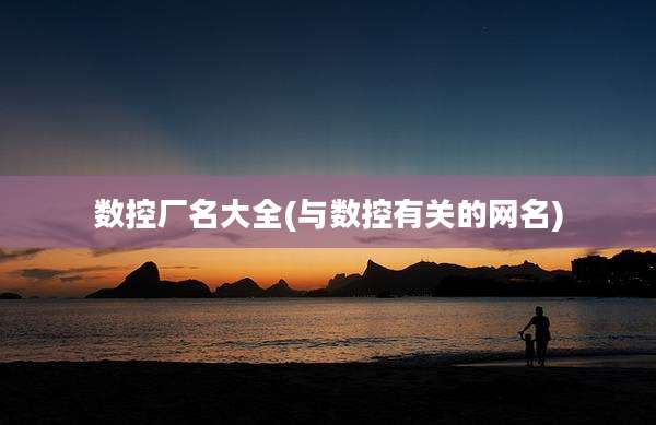 数控厂名大全(与数控有关的网名)