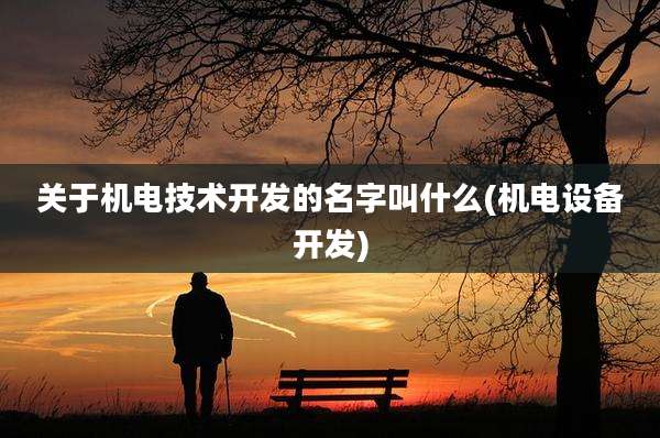 关于机电技术开发的名字叫什么(机电设备开发)