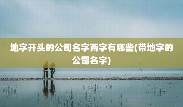 地字开头的公司名字两字有哪些(带地字的公司名字)