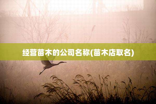 经营苗木的公司名称(苗木店取名)