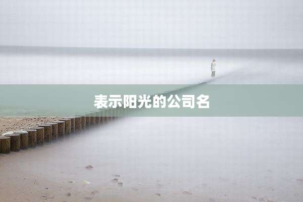 表示阳光的公司名