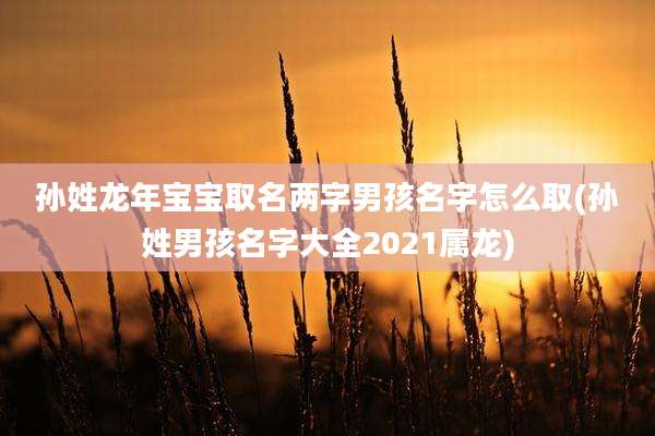 孙姓龙年宝宝取名两字男孩名字怎么取(孙姓男孩名字大全2021属龙)