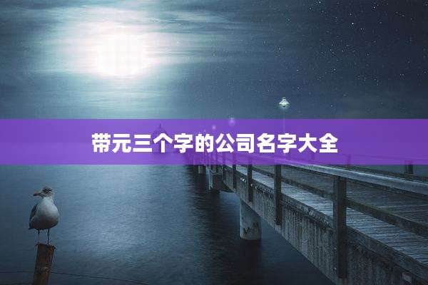 带元三个字的公司名字大全