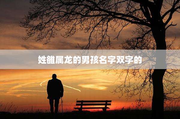 姓雒属龙的男孩名字双字的