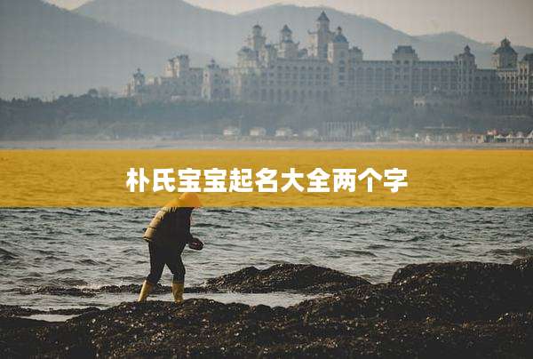 朴氏宝宝起名大全两个字