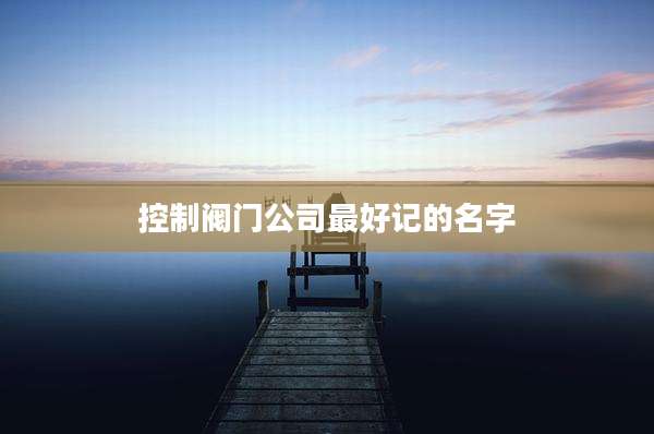 控制阀门公司最好记的名字