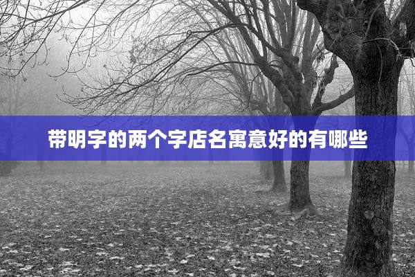 带明字的两个字店名寓意好的有哪些