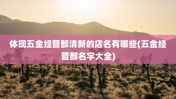 体现五金经营部清新的店名有哪些(五金经营部名字大全)