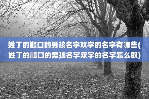姓丁的顺口的男孩名字双字的名字有哪些(姓丁的顺口的男孩名字双字的名字怎么取)