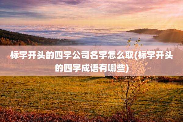 标字开头的四字公司名字怎么取(标字开头的四字成语有哪些)