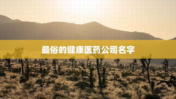 最俗的健康医药公司名字