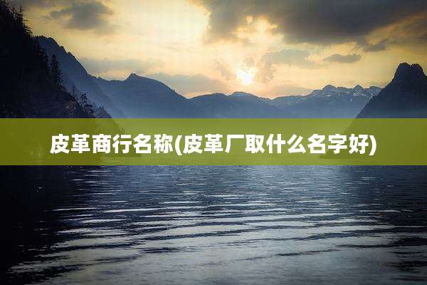 皮革商行名称(皮革厂取什么名字好)
