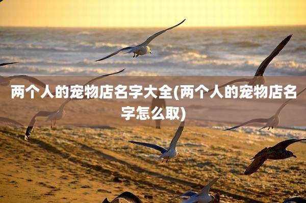 两个人的宠物店名字大全(两个人的宠物店名字怎么取)