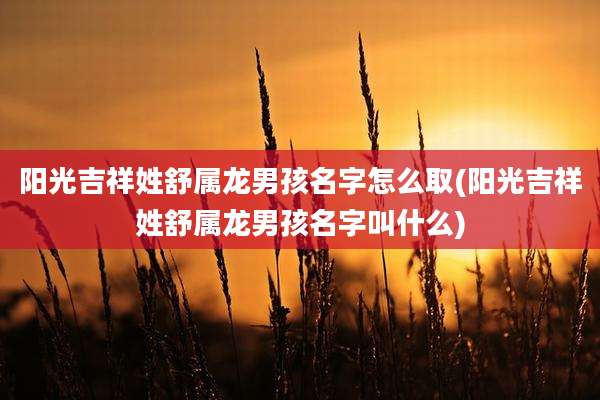 阳光吉祥姓舒属龙男孩名字怎么取(阳光吉祥姓舒属龙男孩名字叫什么)