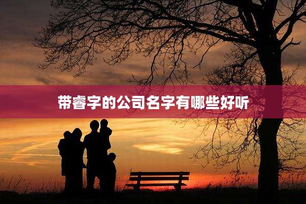 带睿字的公司名字有哪些好听