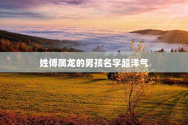 姓傅属龙的男孩名字超洋气