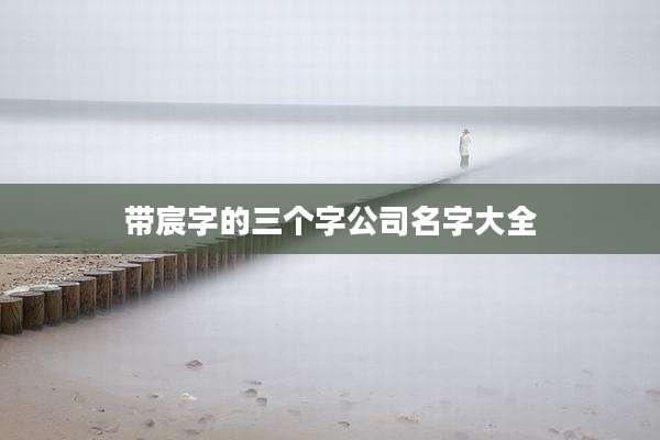 带宸字的三个字公司名字大全