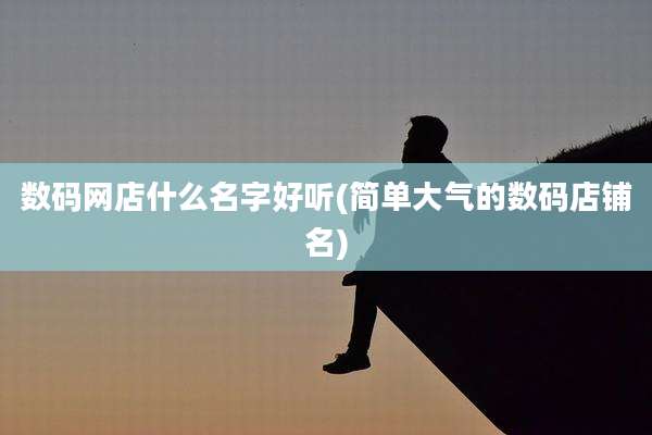 数码网店什么名字好听(简单大气的数码店铺名)