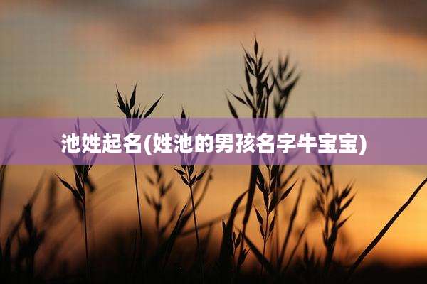 池姓起名(姓池的男孩名字牛宝宝)