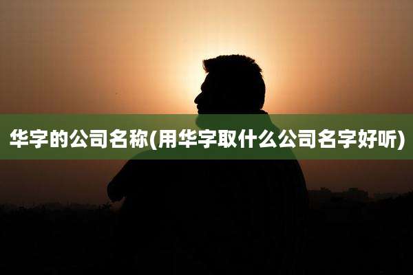 华字的公司名称(用华字取什么公司名字好听)