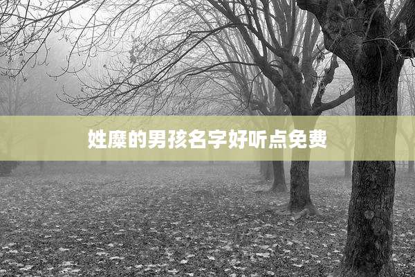 姓糜的男孩名字好听点免费