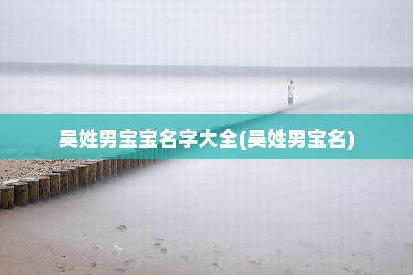 吴姓男宝宝名字大全(吴姓男宝名)