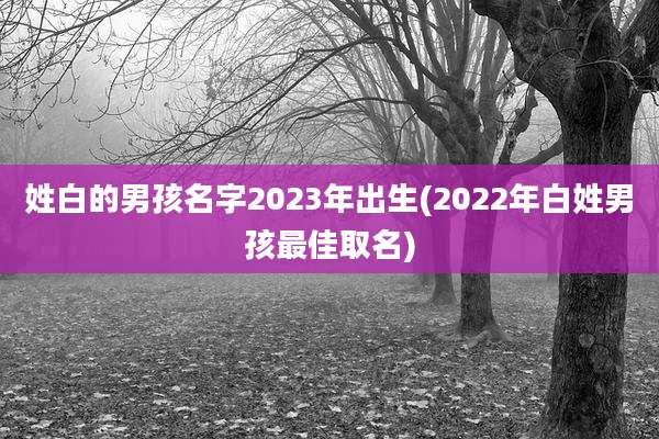 姓白的男孩名字2023年出生(2022年白姓男孩最佳取名)