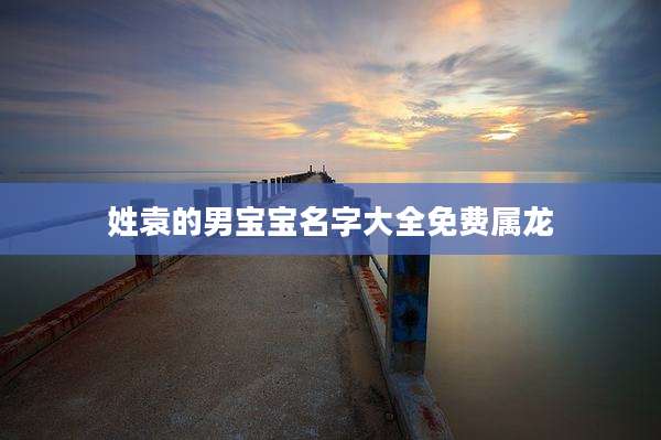 姓袁的男宝宝名字大全免费属龙